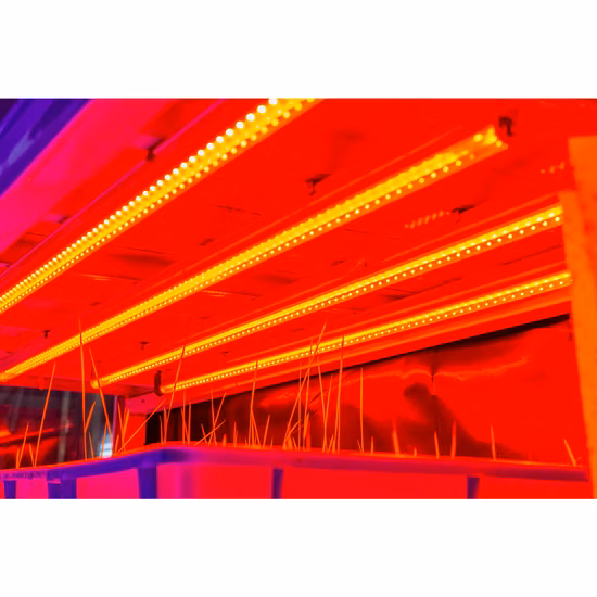 El poder más elevado agrícola LED crece la lámpara ligera LED del crecimiento del tubo de la planta LED por completo