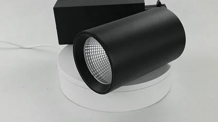 Iluminación de riel global Luces LED empotradas para escaparate de aluminio de 10 vatios Luz de riel LED